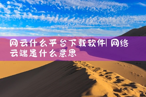 网云什么平台下载软件
