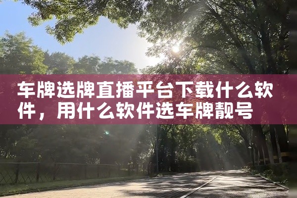 车牌选牌直播平台下载什么软件