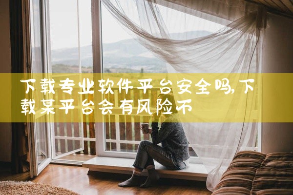 下载专业软件平台安全吗